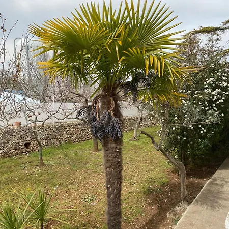 Dom wakacyjny Mima Santeramo in Colle